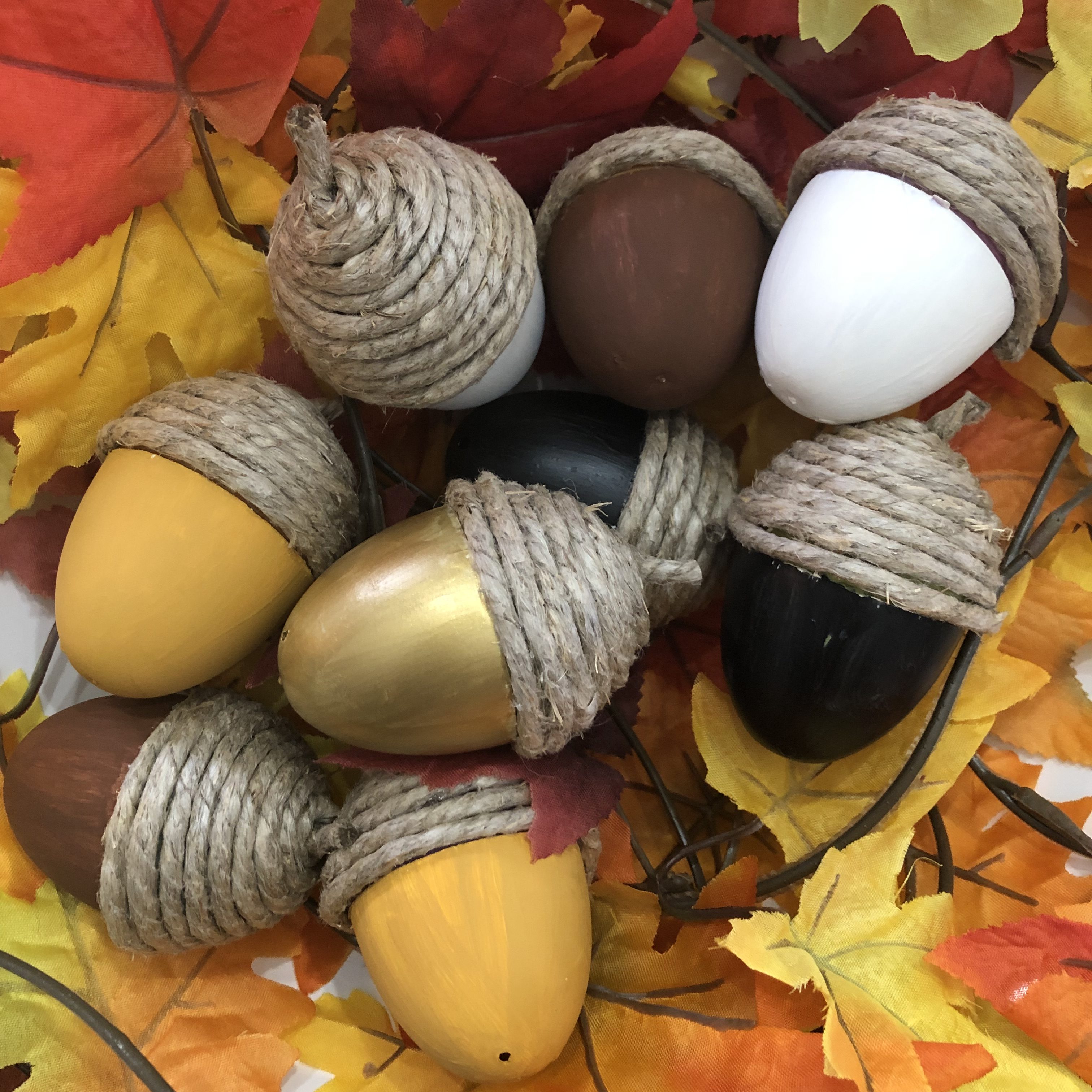 DIY ACORNS